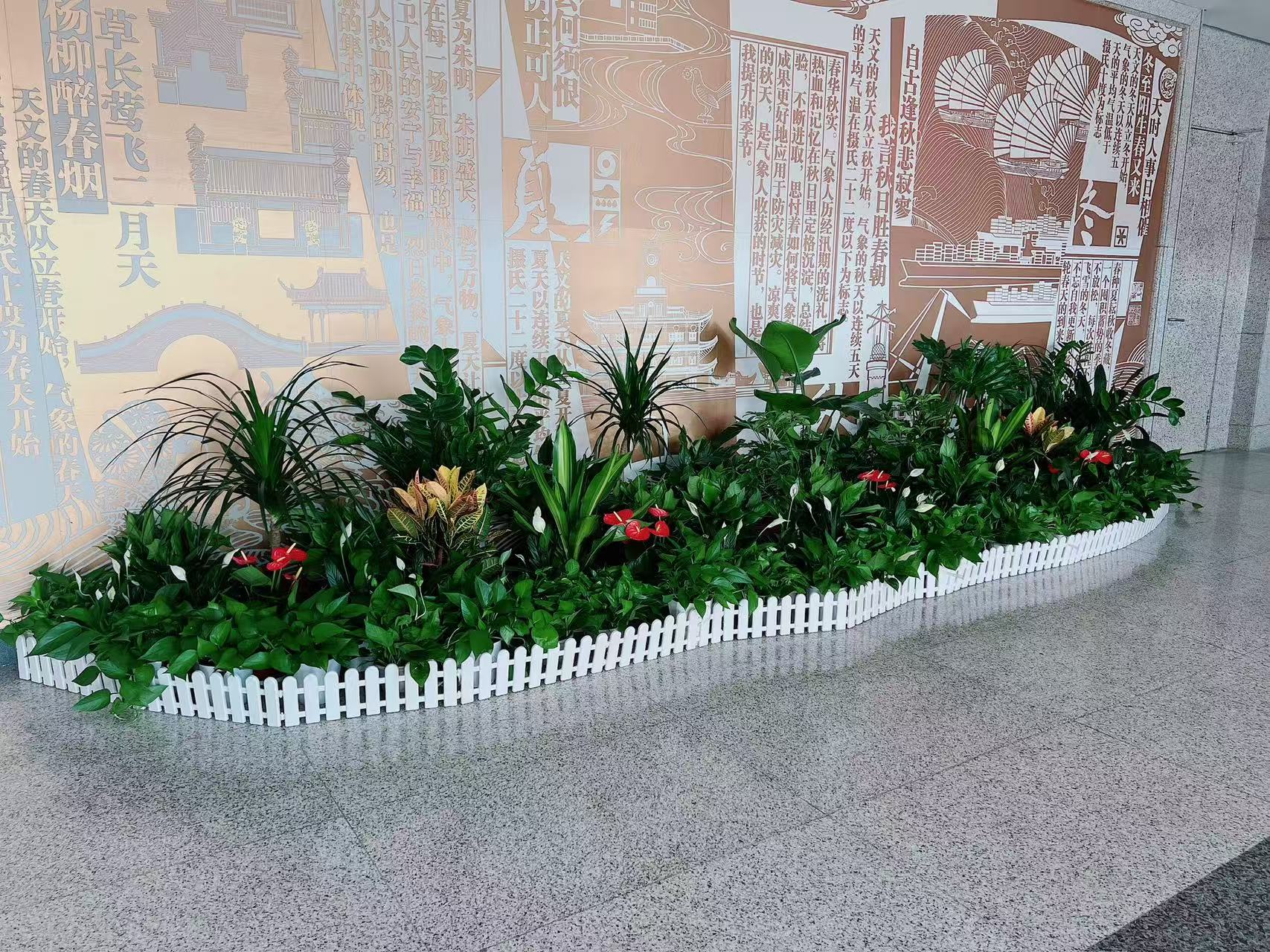 体验宁波江北绿植出租设计，邂逅自然之美空间